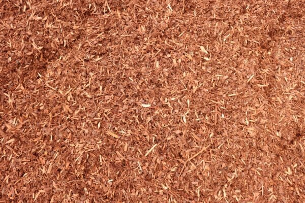 15mm Pine Bark