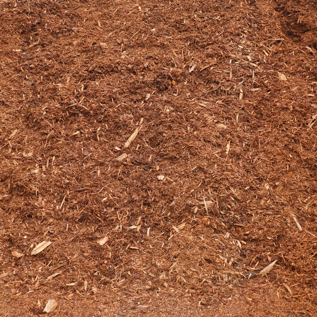 Boyer Bark - Image 2