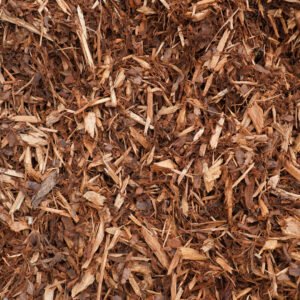 medium pine bark